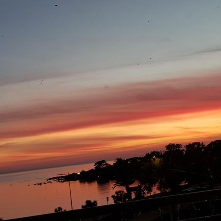 Vieille Ville D Ajaccio De 1 A 4 Pers A 300M Du Port Et A 15 Mn De Laeroport Proches De Plus Belles Plages Et Ttes Commodites A Proximite エクステリア 写真